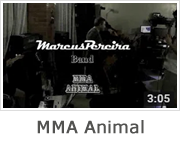 MMA Animal